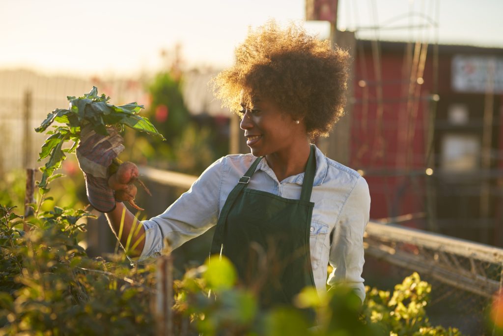 How Do I Monitor My Finances?